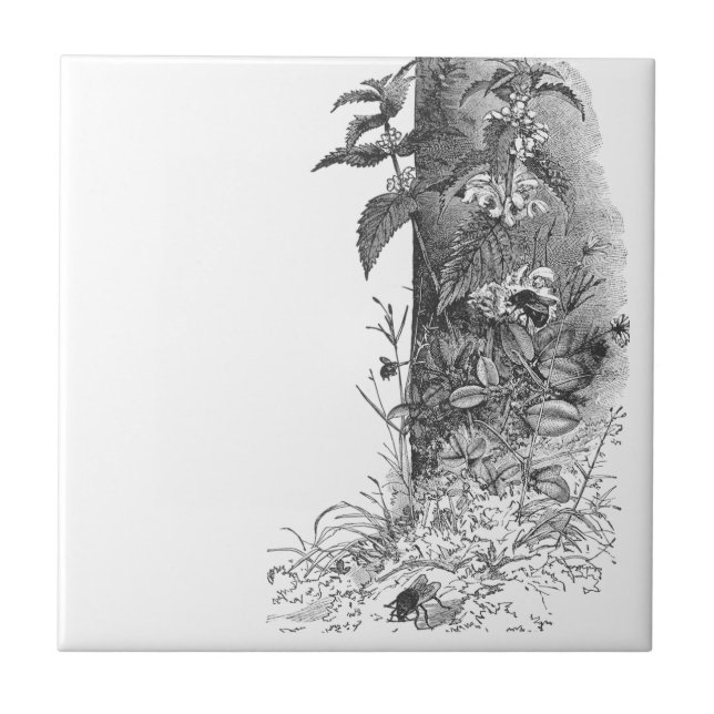 Honeybees Frequent Flowering Mint Tile (Front)