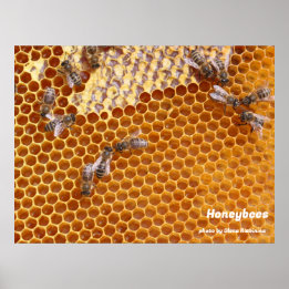 Honeybees in the hive poster
