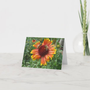 Honeybees on Blanket Flower Card