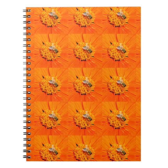 honeybees on orange notebook (Front)