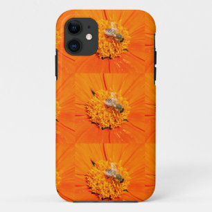 honeybees orange case