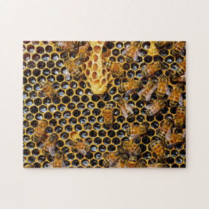 Honeycomb and Bees Jigsaw Puzzle