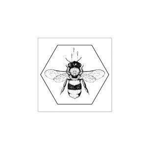Honeycomb Bee Sketch Apiary & Natural Skincare Rubber Stamp
