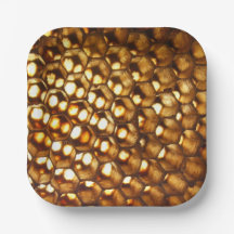 Honeycomb Paper Plate, beekeeper party,