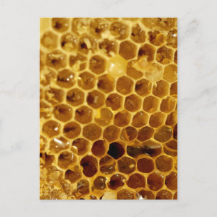 Honeycomb Postcard