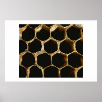 Honeycomb Poster