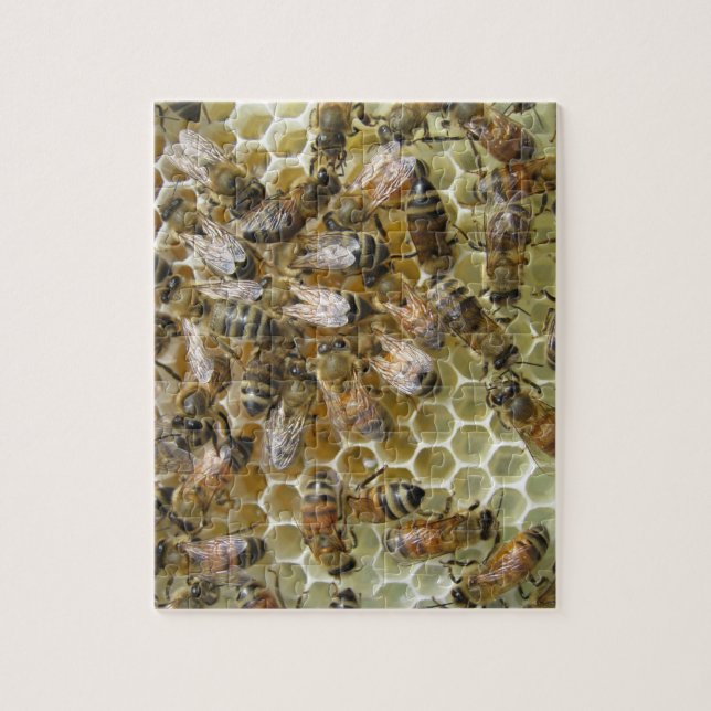 Honeycomb Puzzle (Vertical)