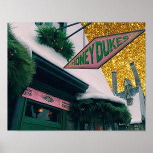 honeydukes poster