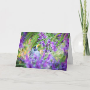 Honeyeater in Bush Sage Blank Greeting Card