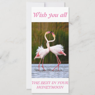 Honeymoon best wishes card