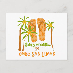 Honeymoon Cabo San Lucas Tshirts and Gifts Postcard