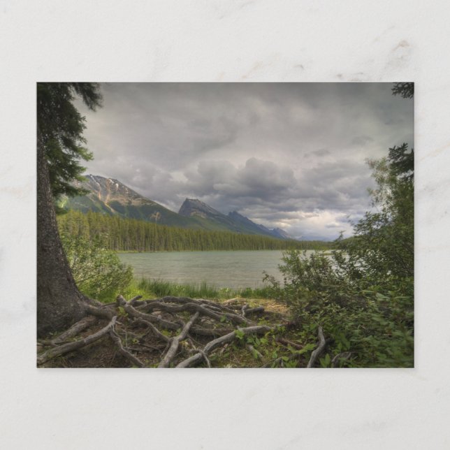 Honeymoon Lake Postcard (Front)