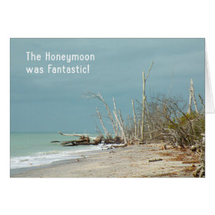 Honeymoon was Fantastic Card, Natural Beach Blank