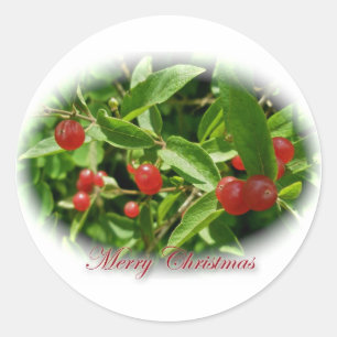Honeysuckle Berries Christmas Stickers