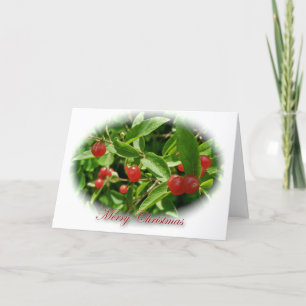 Honeysuckle Berries Merry Christmas Card