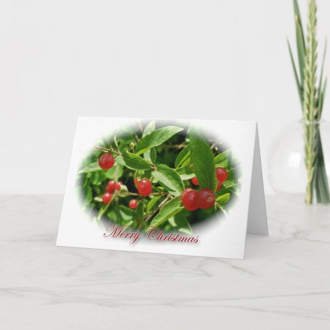 Honeysuckle Berries Merry Christmas Card (Front)