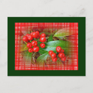 Honeysuckle Berries on Cotton Cloth Postcard
