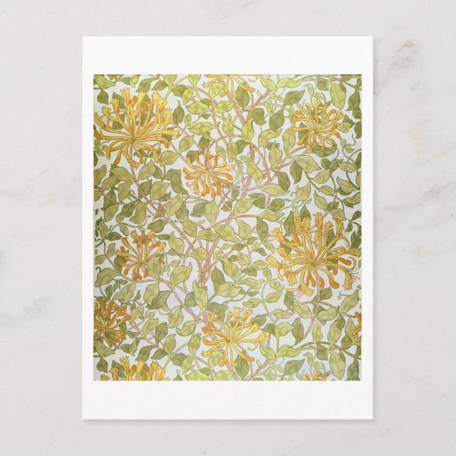 'Honeysuckle' design, 1883 Postcard (Front)