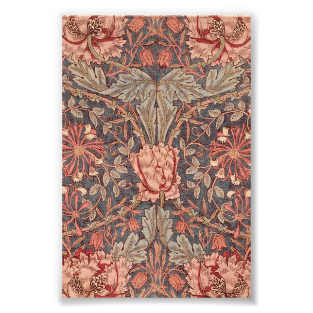Honeysuckle, Floral Pattern by William Morris Photo Print (Front)