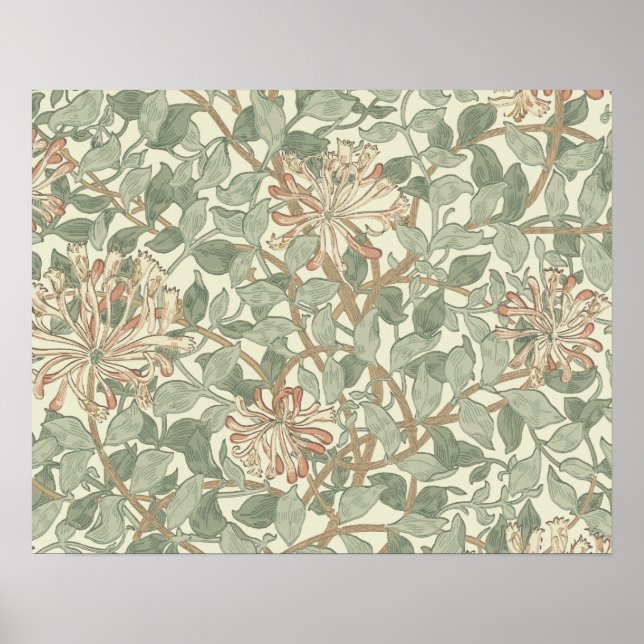Honeysuckle Floral Wallpaper William Morris Poster (Front)