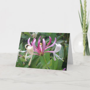 Honeysuckle Flower Card