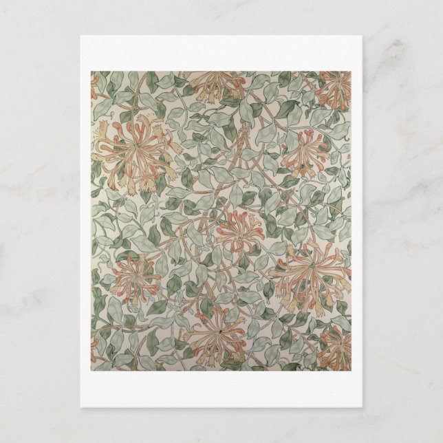 'Honeysuckle II' design Postcard (Front)