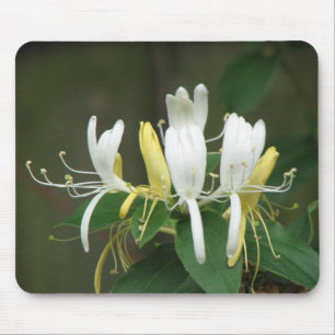 Honeysuckle Mouse Pad