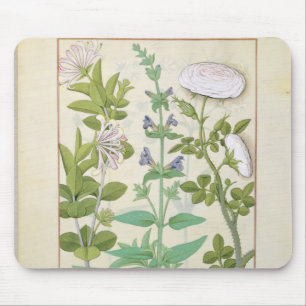 Honeysuckle, Sage and Rose Mouse Pad