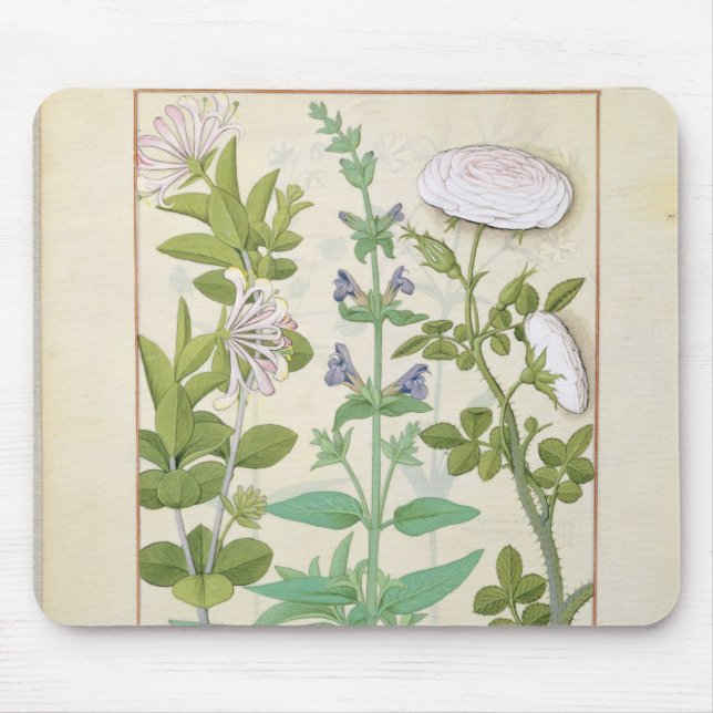 Honeysuckle, Sage and Rose Mouse Pad (Front)