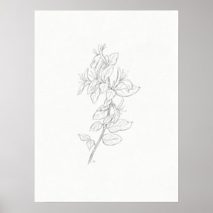Honeysuckle sketch art print