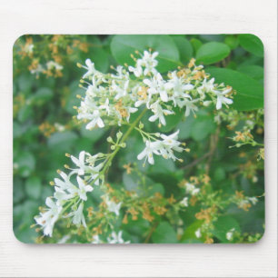 "Honeysuckle Sweet" Mouse Pad