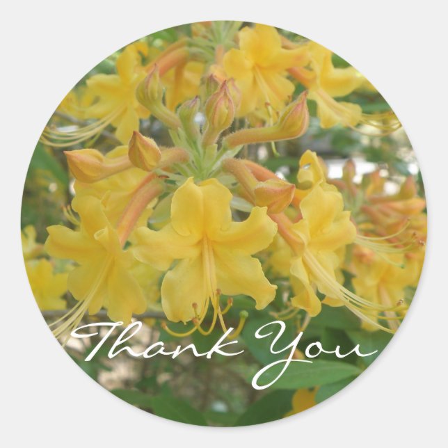 Honeysuckle Thank You Stickers (Front)