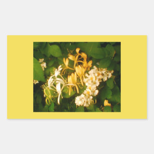 Honeysuckle Wild Rose Spring Rectangular Sticker