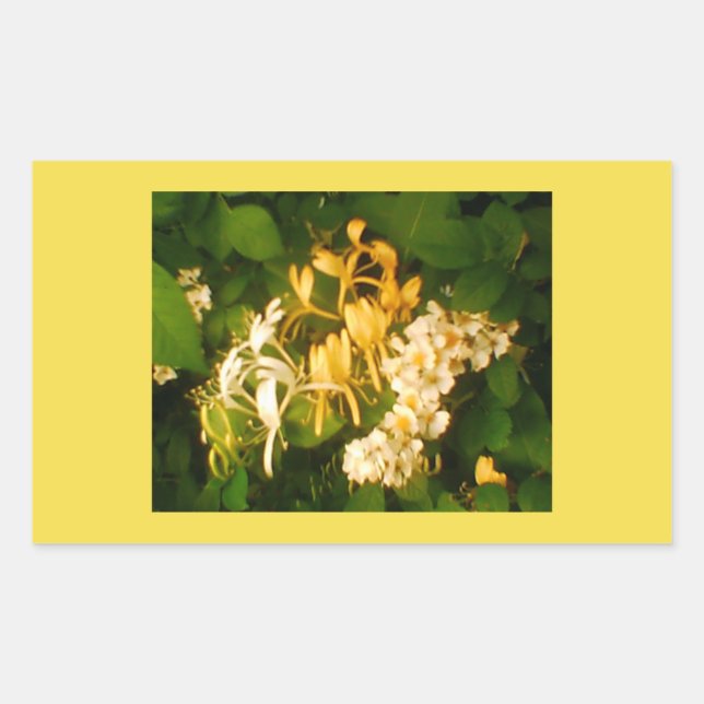 Honeysuckle Wild Rose Spring Rectangular Sticker (Front)