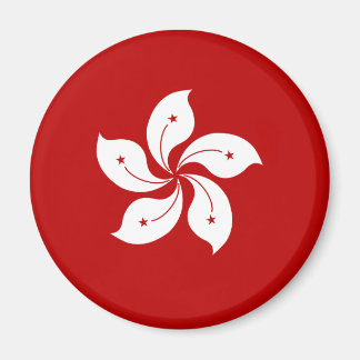 Hong Kong High quality Flag Magnet