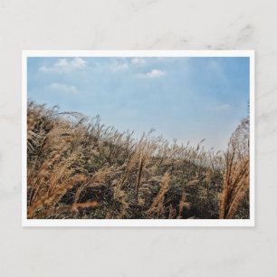 Hong Kong Landscape Postcard