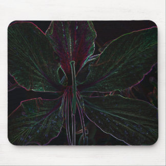 Hong Kong Orchid Tree flower mouse pad