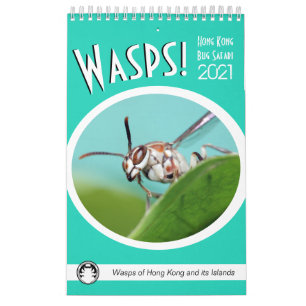 Hong Kong Wasps Calendar