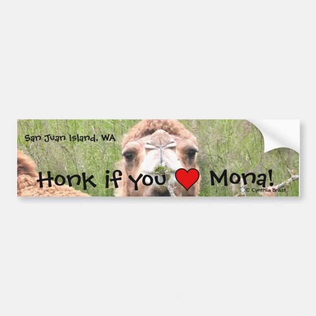 Honk if you ♥ Mona! Bumper Sticker (Front)