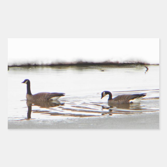 Honkers - Canada Geese Rectangular Sticker (Front)