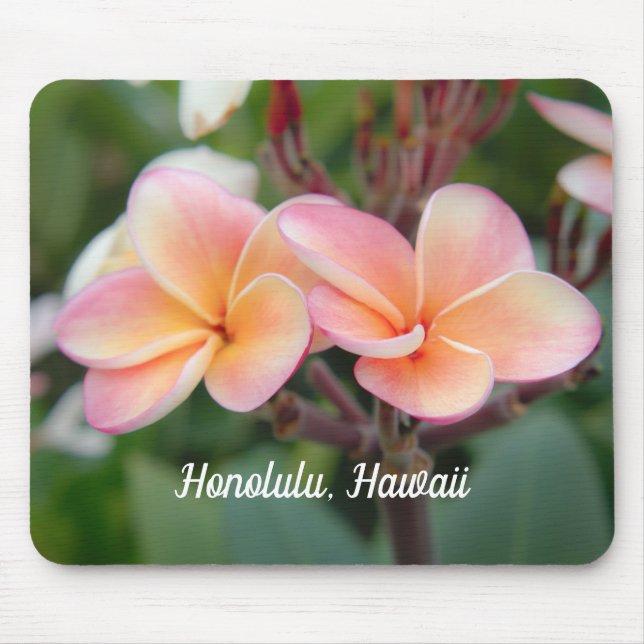 Honolulu Hawaii Plumeria Mouse Pad (Front)