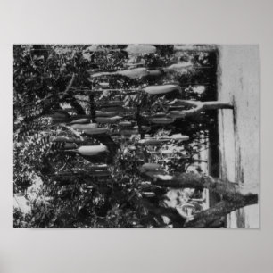 Honolulu, HI - University of Hawaii Poster