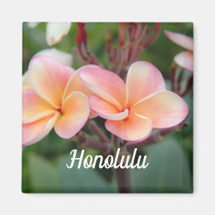 Honolulu Plumeria Magnet