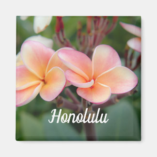 Honolulu Plumeria Magnet