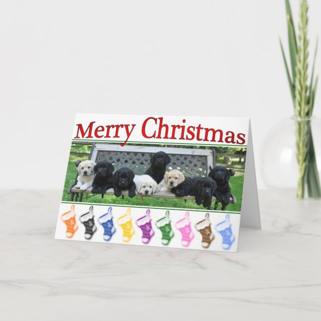 Honour Bench Christmas Holiday Card (Front)