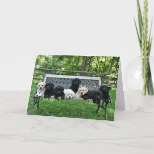 Honour Litter Bench Photo Card