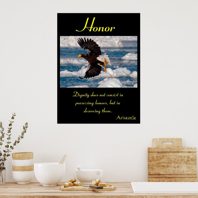 Honour Posters eagle 11 (Kitchen)