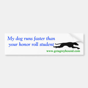 Honour Roll Student bumper sticker