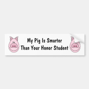 Honour Student Pig Bumper Sticker