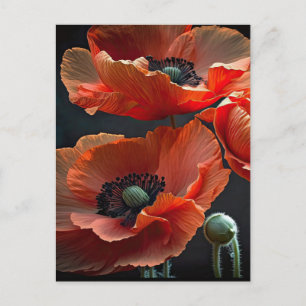 Honour those that gave all postcard